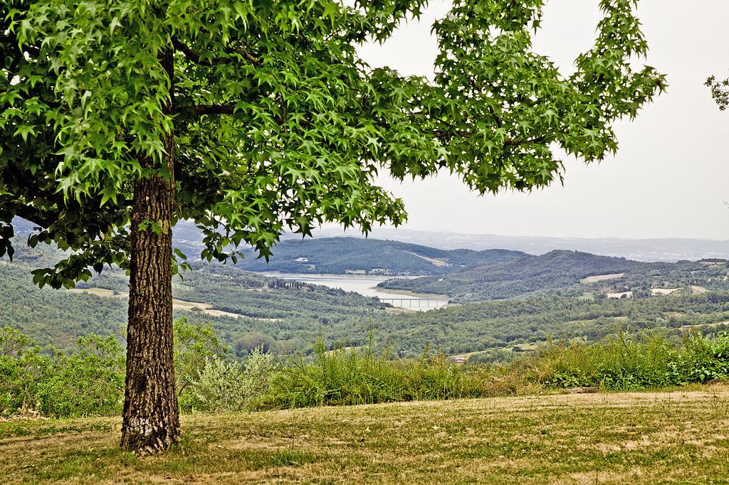 Agriturismo Terra Di Michelangelo Caprese Michelangelo Luaran gambar